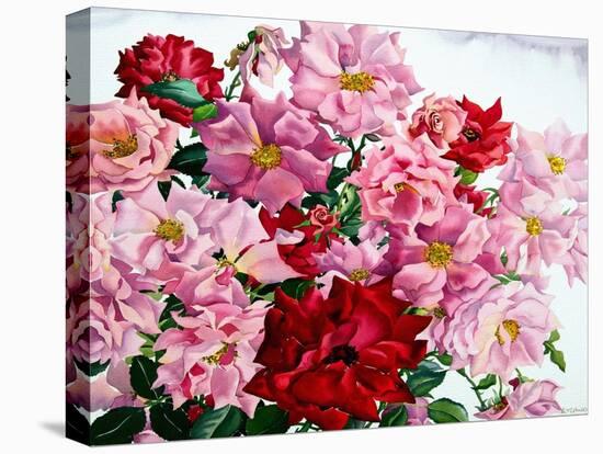 Red and Pink Roses, 2008-Christopher Ryland-Premier Image Canvas