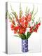 Red and White Gladioli-Christopher Ryland-Premier Image Canvas
