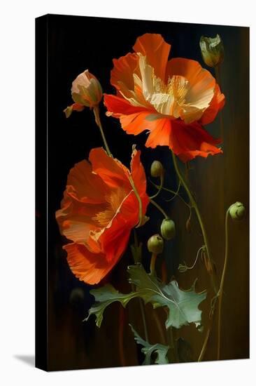 Red and White Poppy Flowers-Vivienne Dupont-Stretched Canvas