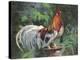 Red And White Rooster-Nenad Mirkovich-Stretched Canvas