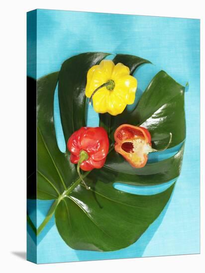 Red and Yellow Habanero Chillies-Armin Zogbaum-Premier Image Canvas