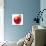 Red Apple on White Background-Alex Staroseltsev-Stretched Canvas displayed on a wall