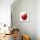 Red Apple on White Background-Alex Staroseltsev-Stretched Canvas displayed on a wall