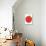 Red Apple-Avalisa-Stretched Canvas displayed on a wall