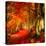 Red Atmosphere There-Philippe Sainte-Laudy-Premier Image Canvas