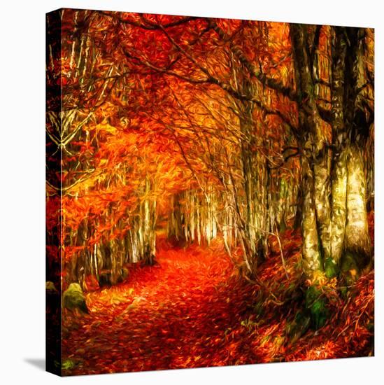 Red Atmosphere There-Philippe Sainte-Laudy-Premier Image Canvas