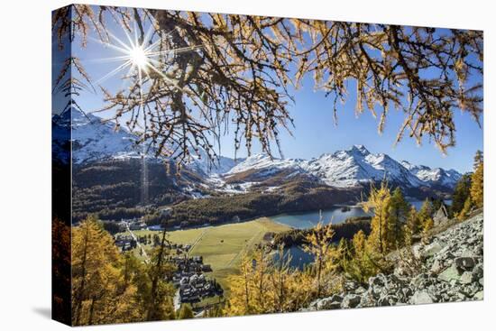 Red Autumn Larches Hide the Sun by Lake Sils. Engadine. Switzerland-ClickAlps-Premier Image Canvas