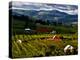 Red Barn Amid Orchards, Hood River, Oregon, USA-Jaynes Gallery-Premier Image Canvas