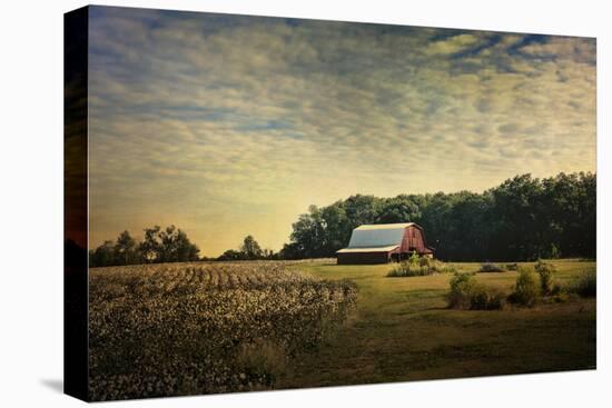 Red Barn at the Cotton Field-Jai Johnson-Premier Image Canvas
