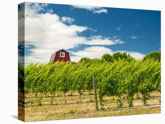 Red Barn at Va Piano Vineyards, Walla Walla, Washington, USA-Richard Duval-Premier Image Canvas