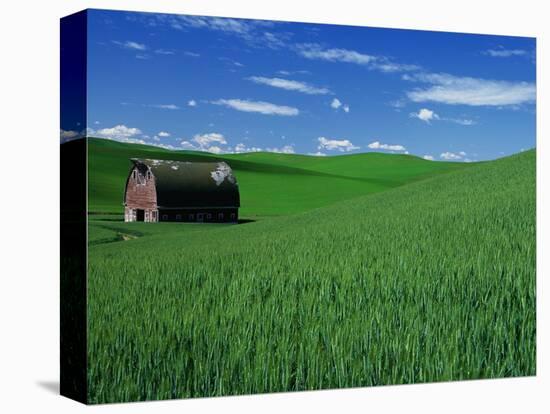 Red Barn in a Wheat Field-Darrell Gulin-Premier Image Canvas