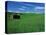 Red Barn in a Wheat Field-Darrell Gulin-Premier Image Canvas