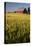 Red Barn in Field of Harvest Wheat-Terry Eggers-Premier Image Canvas