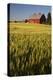 Red Barn in Field of Harvest Wheat-Terry Eggers-Premier Image Canvas