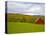 Red Barn in Green Field in Autumn-Lew Robertson-Premier Image Canvas