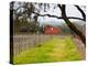 Red Barn near Vineyards, Napa Valley, California, USA-Julie Eggers-Premier Image Canvas
