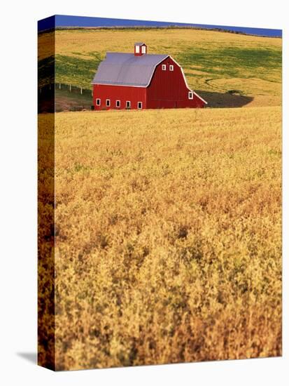 Red Barn on Rolling Hills-Stuart Westmorland-Premier Image Canvas