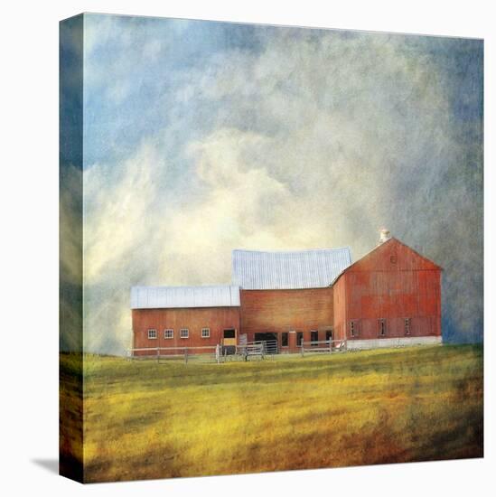 Red Barn-Dawne Polis-Stretched Canvas