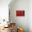 Red Begonia Abstract-Anna Miller-Premier Image Canvas displayed on a wall