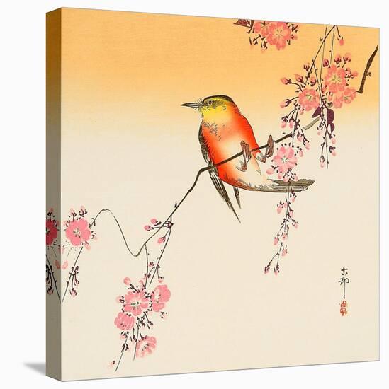 Red Bird and Cherry Blossoms-Koson Ohara-Premier Image Canvas