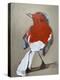 Red Bird I-Erin McGee Ferrell-Stretched Canvas