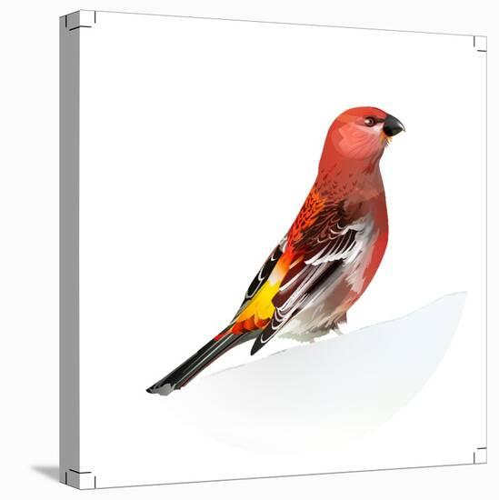 Red Bird, Pine Grosbeak-Conceptcafe-Premier Image Canvas