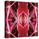Red Blanket X3-Rose Anne Colavito-Stretched Canvas