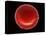 Red Blood Cell, SEM-Steve Gschmeissner-Premier Image Canvas