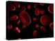 Red Blood Cells, Artwork-SCIEPRO-Premier Image Canvas