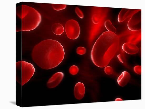 Red Blood Cells, Artwork-SCIEPRO-Premier Image Canvas