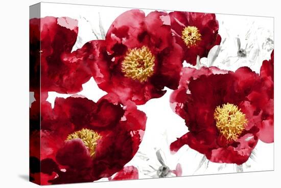 Red Bloom-Vanessa Austin-Stretched Canvas