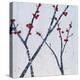Red Blooms-Herb Dickinson-Premier Image Canvas