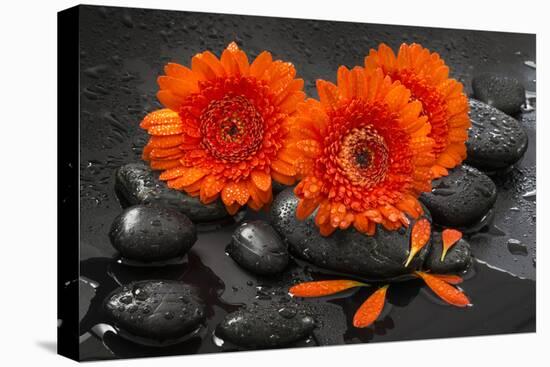 Red Blossoms on Black Stones-Uwe Merkel-Premier Image Canvas