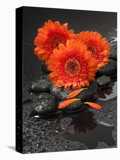 Red Blossoms on Black Stones-Uwe Merkel-Premier Image Canvas