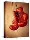 Red Boxing Gloves-null-Premier Image Canvas