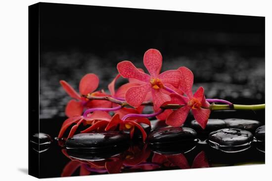 Red Branch Orchid Flower and Therapy Stones-crystalfoto-Premier Image Canvas