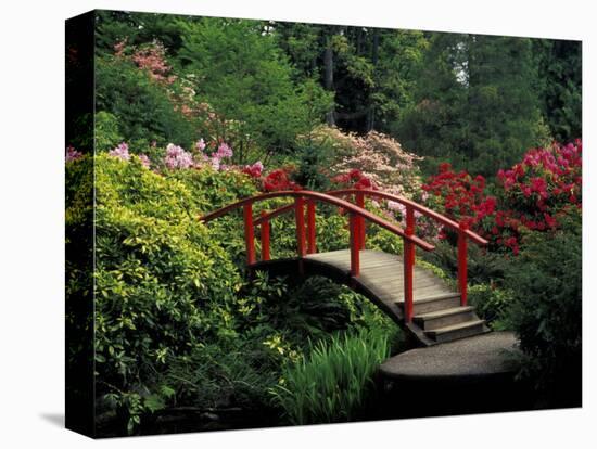 Red Bridge in Springtime, Koybota Gardens, Seattle, Washington, USA-Darrell Gulin-Premier Image Canvas