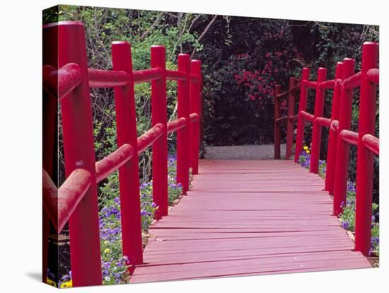 Red Bridge, Magnolia Plantation and Gardens, Charleston, South Carolina, USA-Julie Eggers-Premier Image Canvas