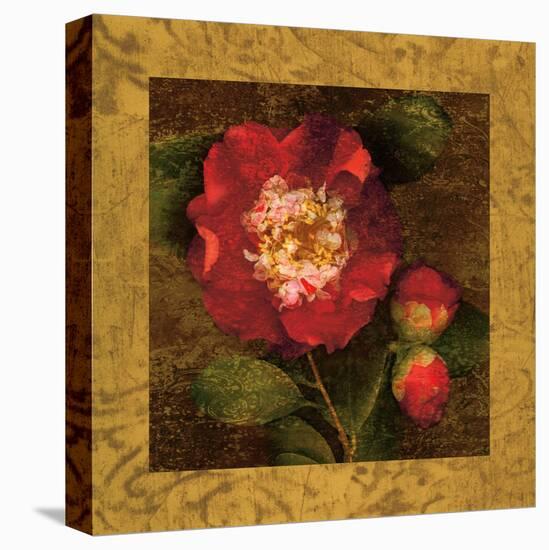 Red Camellias I-John Seba-Stretched Canvas