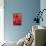 Red Candle and Baubles-Cora Niele-Premier Image Canvas displayed on a wall