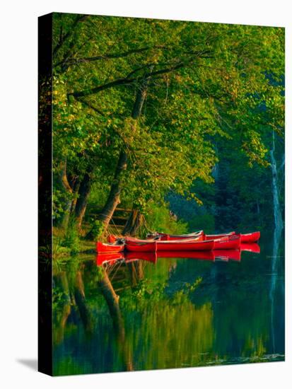Red Canoes-Steven Maxx-Premier Image Canvas
