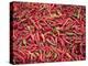 Red Chillies for Sale at Paro Open-Air Market, Red and Green Chillies are Very Important Ingredient-Nigel Pavitt-Premier Image Canvas