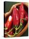 Red Chillies in a Small Dish-Bernd Euler-Premier Image Canvas