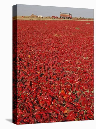 Red Chillies Laid Out to Dry in the Sun and Lorries Waiting to Be Loaded, Tonk District-Annie Owen-Premier Image Canvas