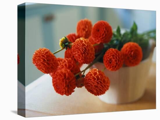 Red Chrysanthemums-Colin Anderson-Premier Image Canvas