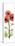 Red Chrysanthemums-Albert Koetsier-Stretched Canvas