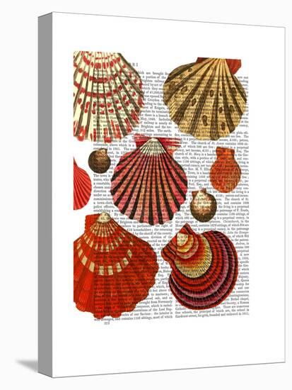 Red Clam Shells-Fab Funky-Stretched Canvas