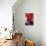 Red Cyclamen Abstract-Anna Miller-Premier Image Canvas displayed on a wall