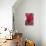 Red Cyclamen Abstract-Anna Miller-Premier Image Canvas displayed on a wall
