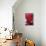 Red Cyclamen Abstract-Anna Miller-Premier Image Canvas displayed on a wall
